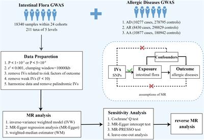 The causality between intestinal flora and allergic diseases: Insights from a bi-directional two-sample Mendelian randomization analysis